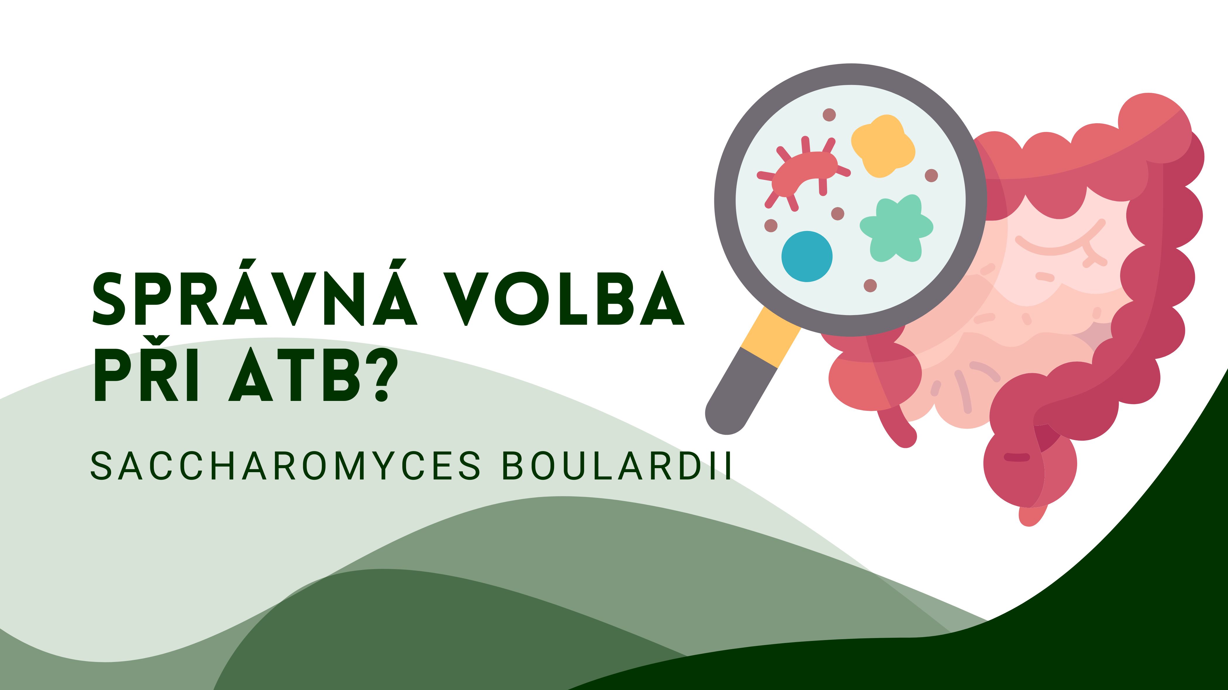 Saccharomyces Boulardii